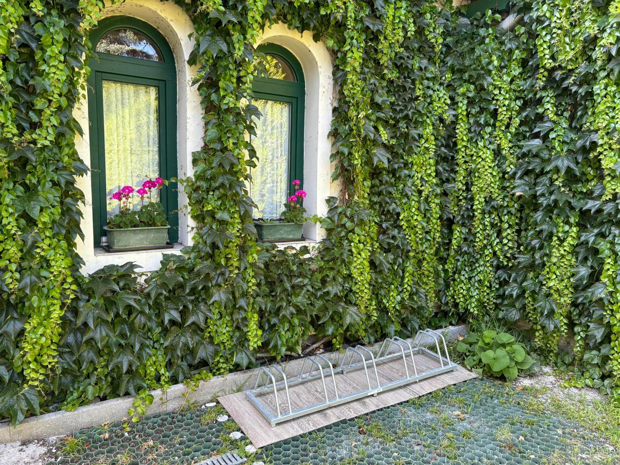 Szalay Villa Veszprém Εξωτερικό φωτογραφία